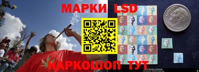 стаф Балахна