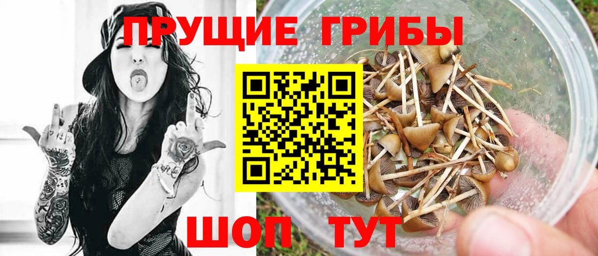 Псилоцибиновые грибы MAGIC MUSHROOMS Донской