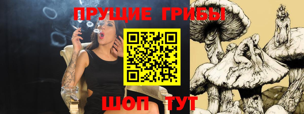 купить наркотики сайты  Галлюциногенные грибы MAGIC MUSHROOMS  Донской  Вход с VPN  Псилоцибиновые грибы GOLDEN TEACHER 